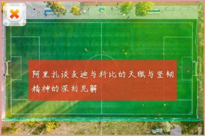 阿里扎谈麦迪与科比的天赋与坚韧精神的深刻见解