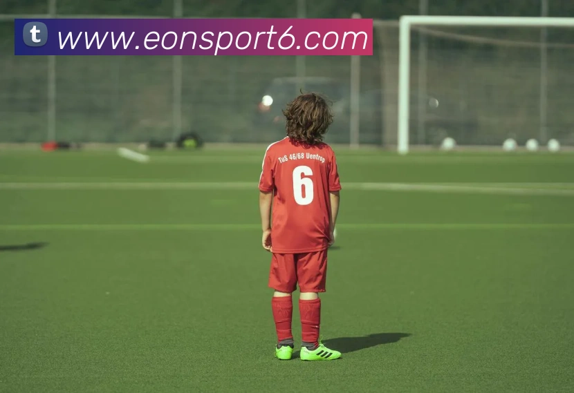 App Interface Preview