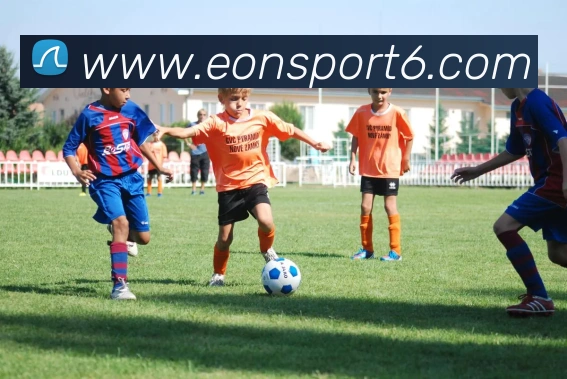 意昂体育APP 封面图