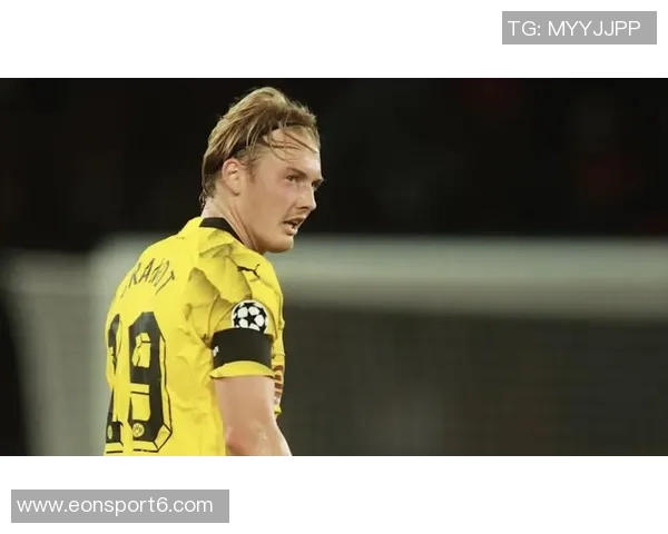 布兰特谈南部球队影响赛季表现多特有潜力待挖掘 布兰特谈南部球队影响赛季表现多特有潜力待挖掘